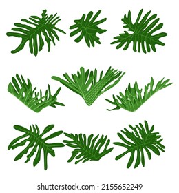 Monstera leaves set. Flat tropical foliage for decoration, summer exotic design ofor cards, banners, flayers vector illustration