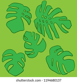 Monstera leaves set. Green tropical leaves. Vector illustration.