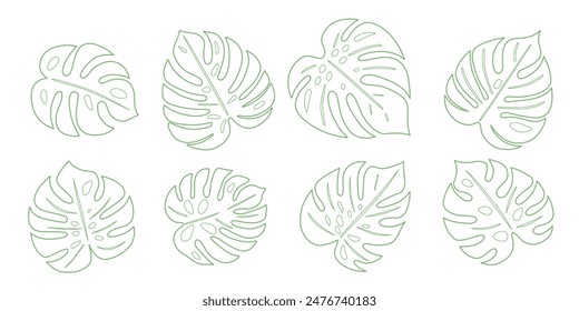 Monstera se va. Conjunto de trazos sobre fondo blanco. Ilustración vectorial.