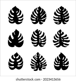 hojas de monstera. conjunto de iconos vectoriales aislados en fondo blanco