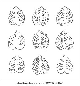 monstera leaves. set of vector icons isolated on white background