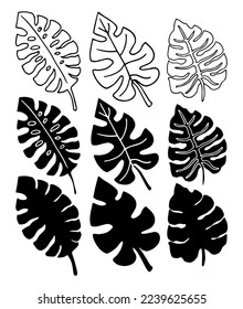 Las hojas de Monstera. Conjunto de ilustraciones vectoriales. Silhouette. Elementos de diseño. Estilo minimalista.