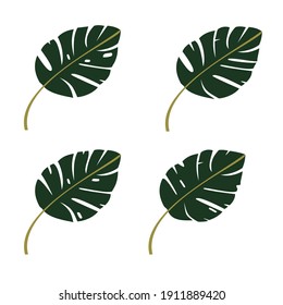 Monstera leaves with several leaf styles. Flat vector illustration