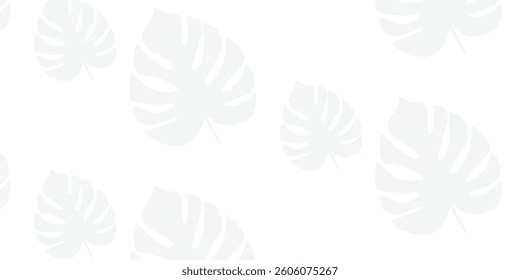  Monstera Leaves Shadow Pattern on White Background