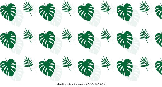  Monstera Leaves Shadow Pattern on White Background