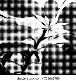 Monstera leaves siluete. Halftone Vector illustration.