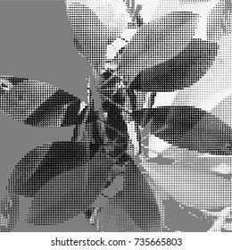 Monstera leaves siluete. Halftone Vector illustration.