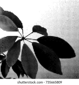 Monstera leaves siluete. Halftone Vector illustration.