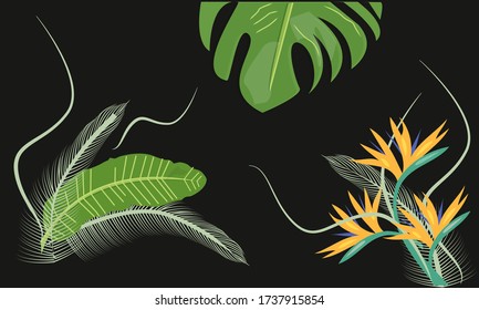 
Monstera leaves and Strelitzia on a black background.
Vector design.