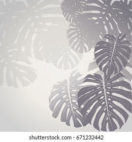 Monstera leaves. Tropical background. Vector Illustration