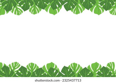 Monstera leaves tropical border isolated on white background. Vector doodle decorative summer design for decoration. Green botanical illustration background