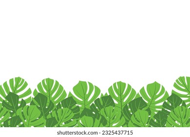 Monstera leaves tropical border isolated on white background. Vector doodle decorative summer design for decoration. Green botanical illustration background