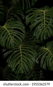 Monstera leaves. Leaves of a tropical plant. Vector illustration for web pages, websites, backgrounds and print.