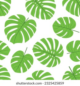 Monstera leaves tropical seamless pattern isolated on white background. Hand drawn vector doodle pattern. Decorative summer design for textile, fashion. Green botanical illustration background