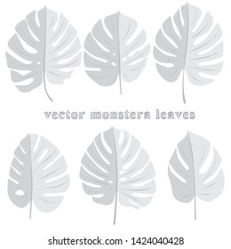 Monstera leaves. Monstera vector. Hand drawn leaves. Jungle leaves. Summer. Jungle