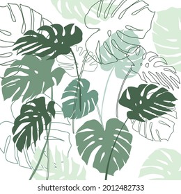 Monstera leaves. Vector illustration. Silhouette and contour