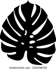 Monstera leaves vector illustration. Tropical floral element isolated on white background.