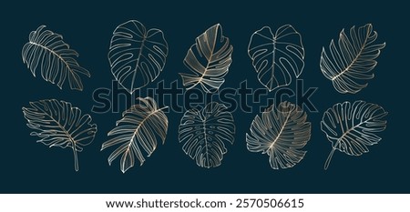 Similar – Image, Stock Photo Golden outlines tropical monstera leaf illustration isolated element