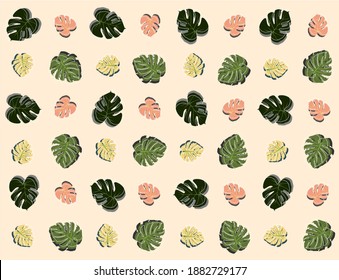 Monstera leaves wrapping paper design. Tropical monstera Leaves illustration, vector background, wallpaper, interior design, dekstop, home living.