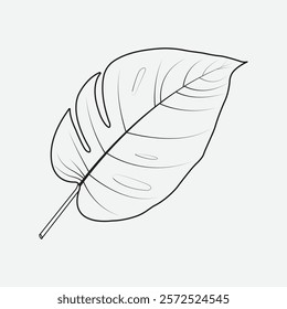 Monstera line art vector illustration.  