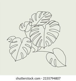 Monstera Line Drawing. Home Plant Line art vector. Minimalist nature art