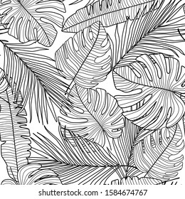 Monstera Leaf Line Drawing High Res Stock Images Shutterstock