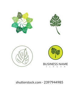 Monstera logo vector template symbol design