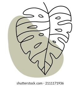 Monstera. Minimal tropical leaves in line art style. Boho jungle leaf outline. Elegant hand drawn leaves. Botanical design element and abstract shape