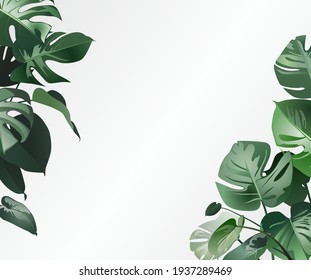 Monstera On Light Background Home Plant Stock Vector (Royalty Free ...