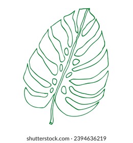 Monstera outline tropical leaves, greenery design element Monstera jungle plant. Line art monstera leaf for coloring book, logo or scrapbook design. Vector illustration, isolate on white backgrou