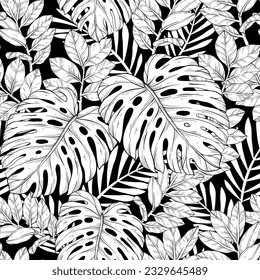 Monstera and palm jungle leaves pattern design, Black and white, vector illustration. 3D Illustration