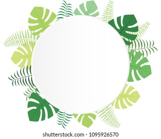 Monstera and palm leaf background