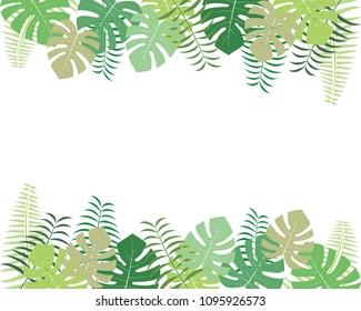 Monstera and palm leaf background