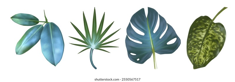 Monstera and palm leaf. Tropic plant isolated set. Banana tree green element for botanical illustration. 3d exotic hawaiian design collection. Mexican garden clipart for decorative summer spa