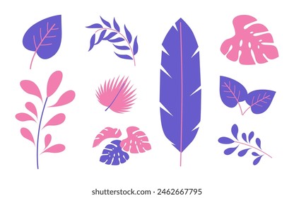 Monstera and palm leaves collection isolated on white background. Exotic and aesthetic element