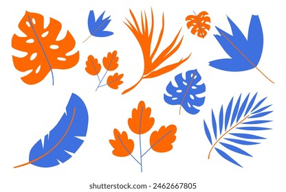 Monstera and palm leaves collection isolated on white background. Exotic and aesthetic element