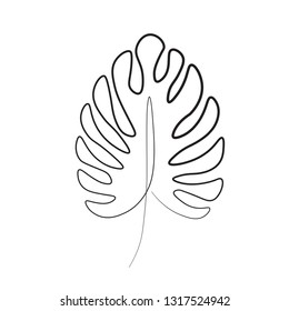 monstera palm line vector