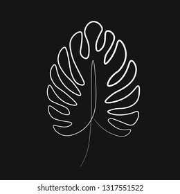 monstera palm line vector