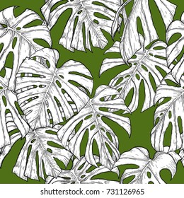 Monstera pattern by hand drawing.Monstera vector seamless on green background