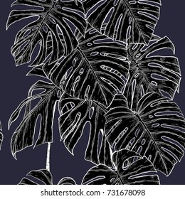 Monstera pattern by hand drawing.Monstera vector seamless on vintage background.Vector leaves art highly detailed in line art style.