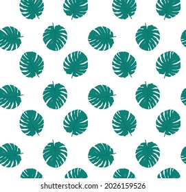 Patrón de Monstera. Hojas verdes sobre un fondo blanco. Fondo de las hojas de la planta
