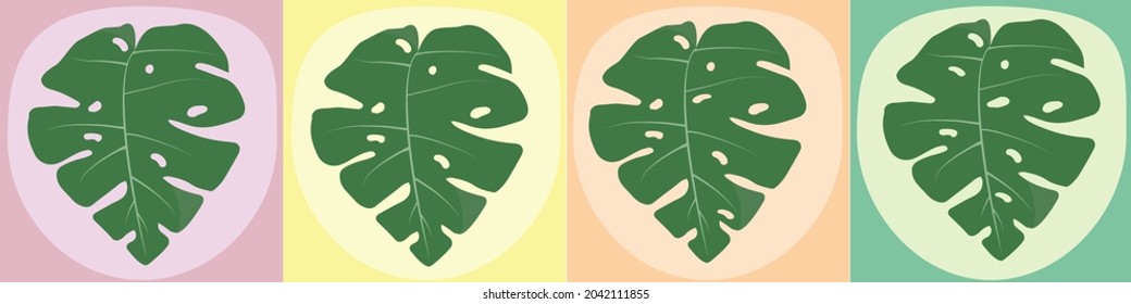 monstera  pattern with  multiple  pastel color  background