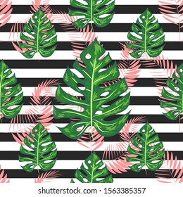 Monstera Pattern. Summer Design for Swimwear. Exotic Palm Greenery Backdrop. Monstera Seamless Pattern.