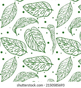 Monstera pattern, summer seamless pattern with green leaves. Background for website design, printing on fabrics. EPS10