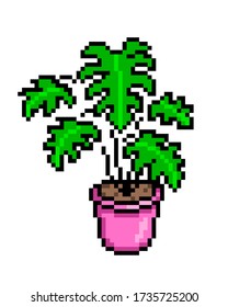 Monstera in a pink pot, pixel art icon isolated on white background. 8 bit decorative exotic houseplant. Home/office interior design element. Old school vintage retro slot machine/video game graphics.