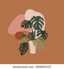 monstera plant boho style leaf minimalism bohemian