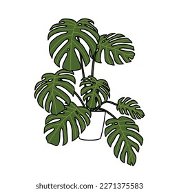 Monstera plant doodle icon, vector illustration