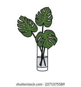 Monstera plant doodle icon, vector illustration