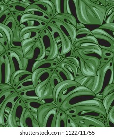 Monstera plant exotic colorful seamless pattern with botanical leaves and dense green foliage vector illustration