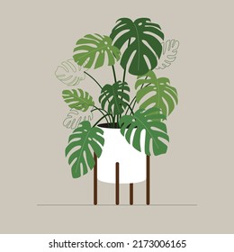 Monstera plant flat vector illustration